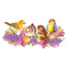 Плакат Птички на ветке 5940900 59.409.00