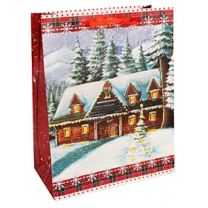Dream cards Пакет подарочный с мат. лам. и глиттером 18 x 23 x 10 см (M) Волшебный дом, 210 г ПКП-3776