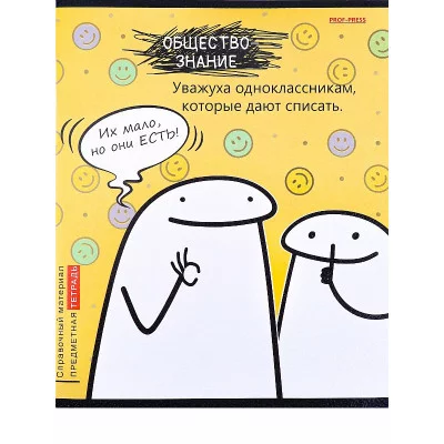 Тетрадь КЛЕТКА 48л. ОБЩЕСТВОЗНАНИЕ «Школьные мемасики» (48-9657) стандарт,тисн холст TM Prof-Press ПП-00195955