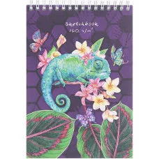 Скетчбук А5, 30л, ХАМЕЛЕОН НА ЦВЕТКЕ (30-6018), на гребне, жесткая подложка, мат. лам, 160г.