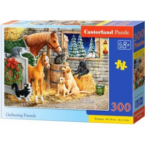 Пазл Castorland "Собрание" 300 элементов 0255/B7-030255
