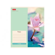 Тетрадь 24л А5ф ЛИНИЯ 65г/кв.м на скобе скругл.углы серия -Flowers- ТЛ2586
