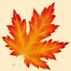 Кленовый лист А5 Империя поздравлений 29809