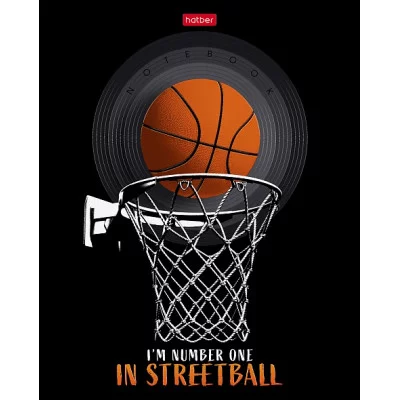 Тетрадь А5 48 л. HATBER скоба, клетка, матовая ламинация, 3D, "Romantic" (5 видов в спайке), 48Т5лофВ1