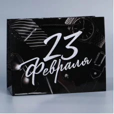 Пакет ламинированный горизонтальный «23 февраля», MS 23 × 18 8 см 7892394