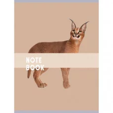 Тетрадь (студ., офис) А4 80л "Чудесный кот"  КанцЭксмо