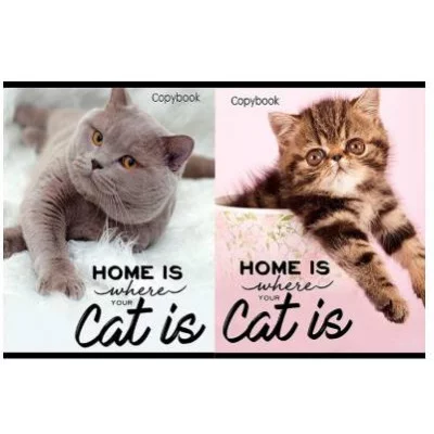 Тетрадь КЛЕТКА 96 л. ДОМАШНИЕ КОТЫ (96-6450) цвет.мелов.обл, 96-6450