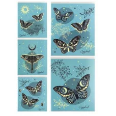 Тетрадь КЛЕТКА 48л. СКАЗОЧНЫЕ КРЫЛЬЯ (48-7021) цв мел обл,,глиттер неон. 48-7021