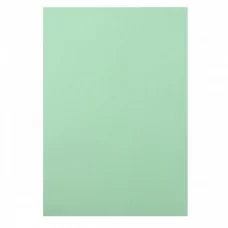 Цв. тонированная бумага А4, 10л. ПЭТ светло-зеленый