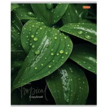 Тетрадь КЛЕТКА 48л. ТРОПИЧЕСКИЕ ЛИСТЬЯ (48-8411) (обл. - офсет, второй блок) 48-8411