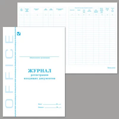 Книга BRAUBERG "Журнал регистрации входящих документов", 48л, А4 198*278мм, картон, офсет, 130084
