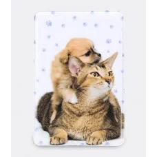 Обложка для проездного, 6,5*0,3*9,5см, с нанесенным рисунком "Друзья" 2925805