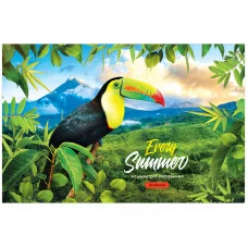 Альбом для рисования 20л А4 на скрепке ArtSpace Путешествия Birds in the jungle 311556