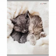 Тетрадь (студ., офис) А4 48л "Пушистый сон" КанцЭксмо Т4485102