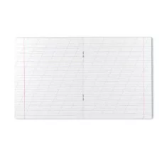 Тетрадь школьная ученическая ErichKrause Классика Visio зеленая 12 листов косая линейка 46467