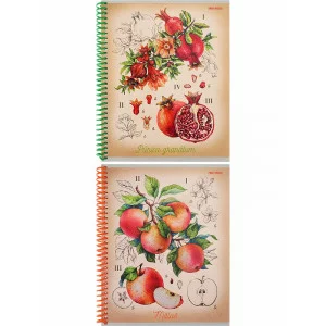 Тетрадь КЛЕТКА А5, 96л. ПРЕКРАСНЫЕ ФРУКТЫ (Т96-3602) цвет. спираль, цвет.мелов.обложка ПП-00183940