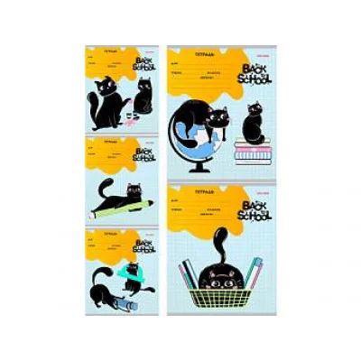 Тетрадь КЛЕТКА 24л. КОТИК И ШКОЛЬНАЯ ТЕМА (24-5796) цвет.мелов.обл.. 225802
