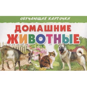Обучающие карточки Карточки. Домашние животные