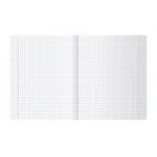 Тетрадь 12л., клетка BG "UniTone. Neon", пластиковая обложка, неон оранжевый 379109