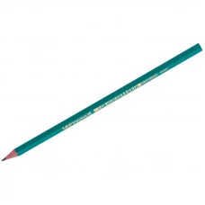 Карандаш ч/г Bic "Evolution" HB, заточен., пластиковый Bic 001081