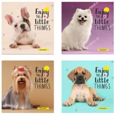 БЛОКНОТ А6 40л на цвет. спирали ВЕРНЫЕ ДРУЗЬЯ Б40-1778