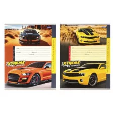 Тетрадь КЛЕТКА 12 л. СТРЕМИТЕЛЬНЫЕ АВТОМОБИЛИ-2 (12-4333) цвет.мелов.обл.об 12-4333