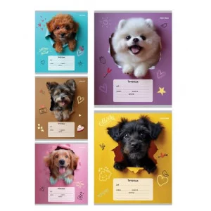 Тетрадь КЛЕТКА 18л. ОБАЯТЕЛЬНЫЕ ПЁСИКИ обл.-мелов.картон, 18-4310