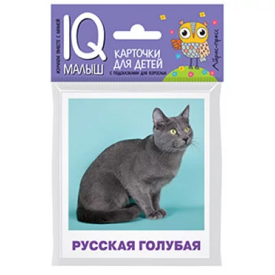 Умный малыш. Породы кошек Набор карточек для детей. / IQ-малыш изд-во: Айрис авт:Малунова М.В.
