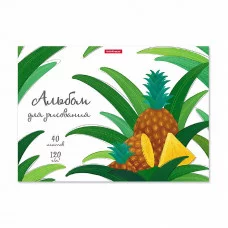 Альбом для рисования на клею ErichKrause Juicy Fruits А4 40 листов 58565