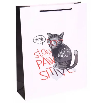 Dream cards Пакет подарочный с мат. лам. 26х32х10 см (L) Послушный котик, 210 г ППК-5395