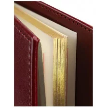 ПЛАНИНГ 56 л. недатир. SELECTION - BORDEAUX (56-5073) греб, кожзам (бордовый), золот срез 300х130мм 56-5073