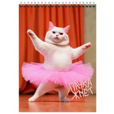 Блокнот А5 А5 60л "Балерина" КанцЭксмо БСК560376