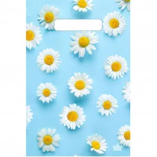 Пакет 29*18 вырубная ручка Ромашковый дождик 30мкм ТИКО 1101-ПрР