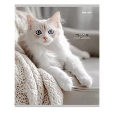 Тетрадь КЛЕТКА 96л. РАЗНЫЕ ДОМАШНИЕ КОТЫ (96-4319) (цвет.мелов.обл.) 96-4319