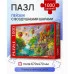 ПАЗЛЫ 1000 элементов. ПЕЙЗАЖ С ВОЗДУШНЫМИ ШАРАМИ Ф1000-4300