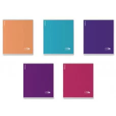 Тетрадь общая ученическая ErichKrause FL, 48 листов, клетка, ламинация soft-touch+выборочный УФ-лак, блок 80 г/м2_MIX-PACK 1шт 60623