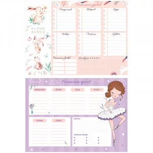 Расписание уроков с расписанием звонков А4 ArtSpace "Пиши-стирай. Cool girl" 311935