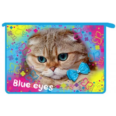 ПТ- 83 Голубоглазая кошка -папка д/тетр. А4 на молнии, дизайн с двух сторон