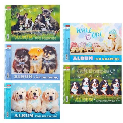 АЛЬБОМ для рисования 24л А4ф на спирали серия -Ассорти- Аль2401