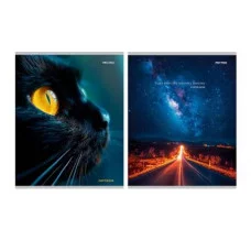 Тетрадь КЛЕТКА 96л. МИКС-9521 (96-9521) (цвет.мелов.обл.) 96-9521