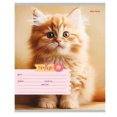 Тетрадь КЛЕТКА 18л. ФОТО КОТИКОВ (18-5587) цвет.мелов.обл. 18-5587