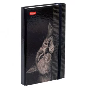 Записная книжка 80-50л А6ф с твердой обложкой клапаном на резинке гребне -Мур-Мяу- 80-50ЗКт6Вгр_32861