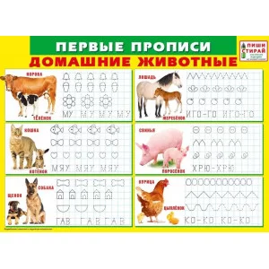 Плакат а4 "Первые прописи. Домашние животные" (Пиши-стирай) 70891