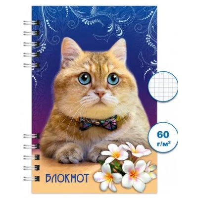 Блокнот спираль 120л А6 Кошки 4 Бг 120/10-4 Бг120/10-4