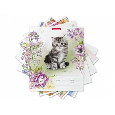 Тетрадь школьная ученическая ErichKrause® Мурзики, 12 листов, линейка 48821 ТЛ1310