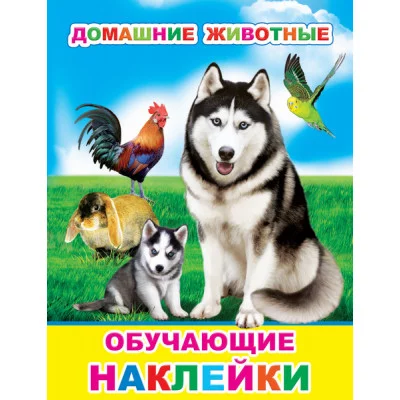 Книжка с картинками. Домашние животные 0+