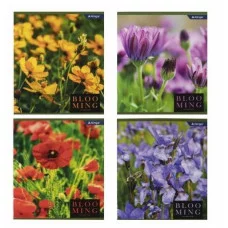 Тетрадь 48л., А5, клетка, Alingar "Blooming", скрепка, мелованный картон (стандарт), блок офсет AL9944