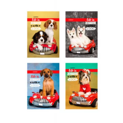 БЛОКНОТ А6 40л. на гребне ЩЕНКИ В МАШИНАХ Б40-6129 ассорти, клетка