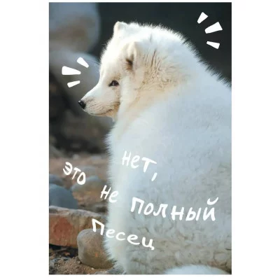 Книга для записей А5 80л "Песец" КанцЭксмо КЗ5803979