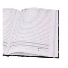 ЕЖЕДНЕВНИК А5, 80л. ГОРОДСКОЙ МОСТ - 1 (80-0311) (7БЦ,глянц.ламин. цвет.мелов обл. недатиров.) 80-0311